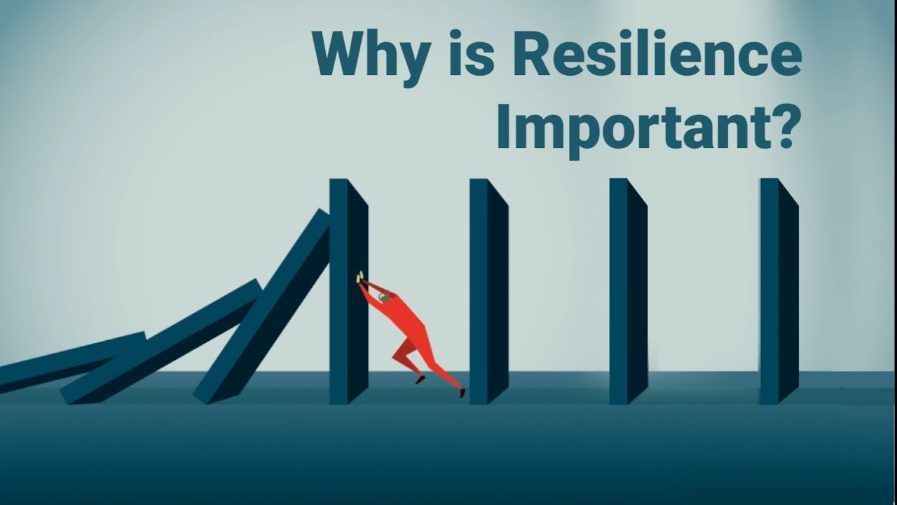 How a Failed Startup Became the Foundation of a Flourishing Life: Lessons in Resilience and Growth