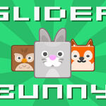 Slider Bunny